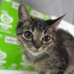 ブログ投稿サムネイル