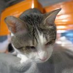 ブログ投稿サムネイル