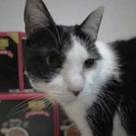 ブログ投稿サムネイル