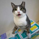 ブログ投稿サムネイル