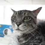 ブログ投稿サムネイル