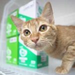 ブログ投稿サムネイル